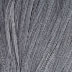 Wapsi Select Sections: parche de plumas de la base del cuello de gallo