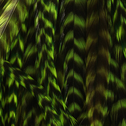 Hareline Half Grizzly Saddles