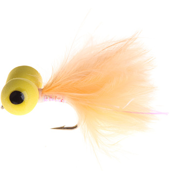 Piquero Ojos Amarillos Cola Coral