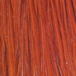 Capa de plumas del cuello de gallo Metz #2