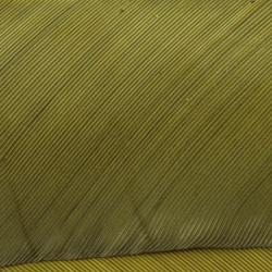 Hareline biots de pavo