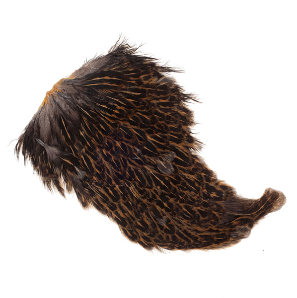 Colgadera moteada de gallina FFGene India