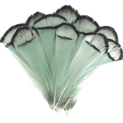 FFGene Plumas del cuello de faisán de Lady Amherst