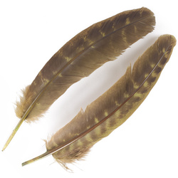 FFGene Plumas de ala de pavo Ozark