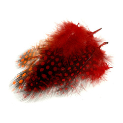 FFGene Plumas de pintada