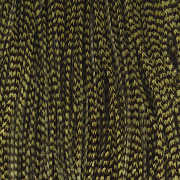 Colgadera de gallo para mosca seca Keough Hackle