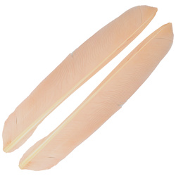 FFGene Biots de pluma de pavo
