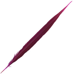 FFGene Plumas de cola de faisán dorado