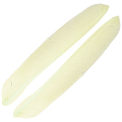 FFGene Biots de pluma de pavo
