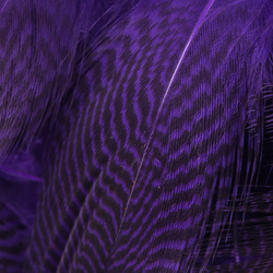 Hareline plumas del flanco de cerceta
