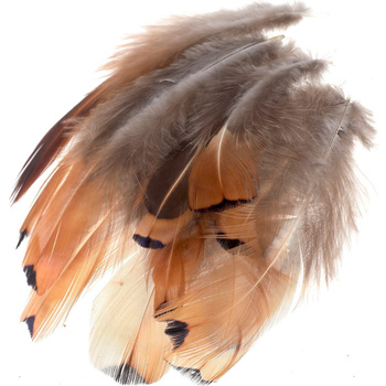 FFGene Plumas de los flancos de faisán dorado