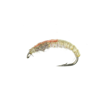 Hydropsyche Dorso bronceado/naranja (356)