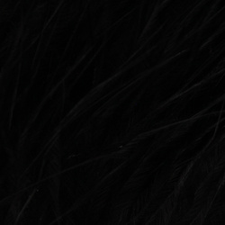 Marabú Blood Quill FFGene (10-12 cm)