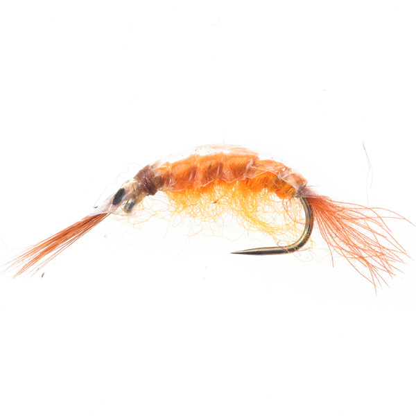 Scud Naranja
