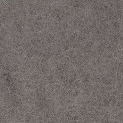 Doblaje Sybai Fine Camel