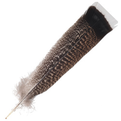 FFGene Plumas de cola de pavo moteadas
