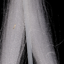 Fibras sintéticas H2O Fluoro Fibre