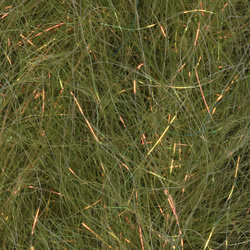 Cepillo H2O Flash Blend Baitfish de 2 pulgadas (flash)