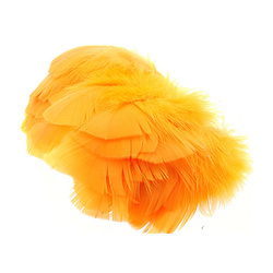 Wapsi Plumas planas de pavo
