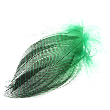 Hareline plumas del flanco de cerceta