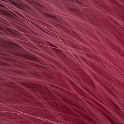 Marabú extragrande Blood Quill FFGene (12-15cm)