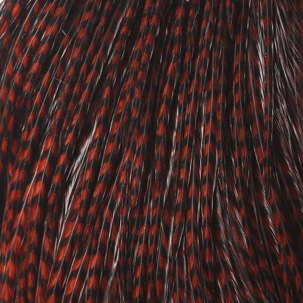 Hareline medio cuello de plumas