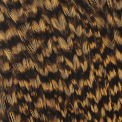 Ewing Grizzly Whole Capes