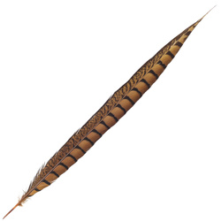 FFGene Plumas de cola de faisán de Lady Amherst