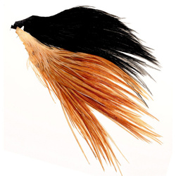 Wapsi parche de plumas del cuello de gallo para moscas secas
