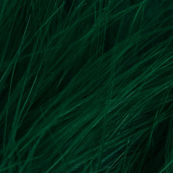 Marabú Blood Quill FFGene (10-12 cm)