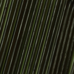 Costilla de vidrio Sybai