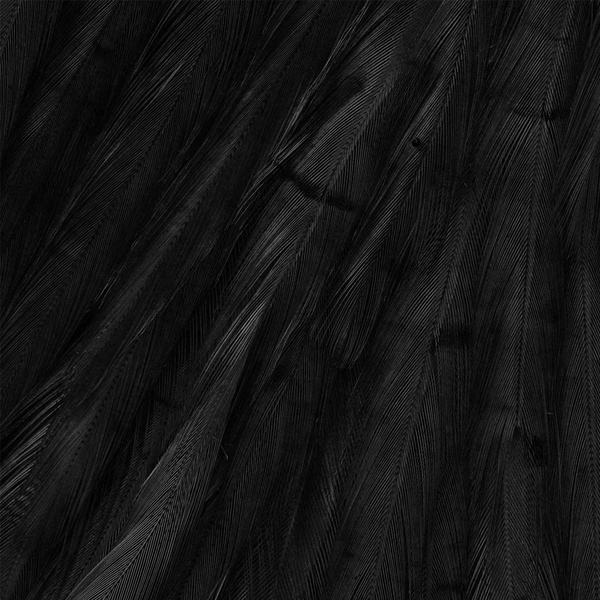 Sillas de montar Ewing Half