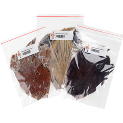 Cuello de gallo FFGene India, clase Top