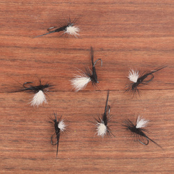 Parachute Calf Wing Black