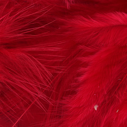 Metz plumas para hackle blando