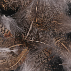 FFGene plumas de perdiz húngara 1 gram