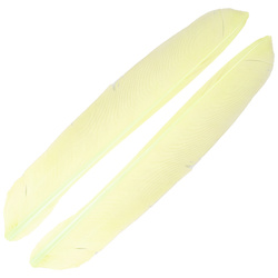 FFGene Biots de pluma de pavo