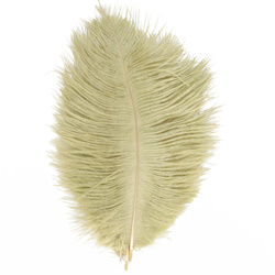 FFGene Plumas de avestruz para hackle