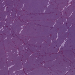 Sybai Láminas finas de dorso y alas