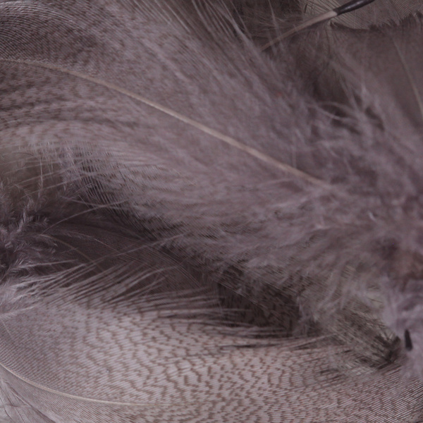 Hareline Plumas del flanco de ánade real