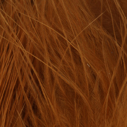 FFGene Wooly Bugger Marabou (Blood Quill) (7-10 cm)