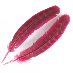 FFGene Plumas de ala de pavo Ozark