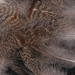 FFGene plumas de perdiz húngara 1 gram