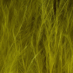 Spirit River UV2 marabú Premium Selected