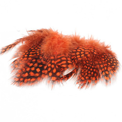 Plumas sueltas de pintada con ocelos grandes Spirit River UV2