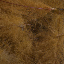FFGene Paquete Jambo de plumas CDC teñidas - 1 gr