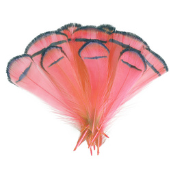 FFGene Plumas del cuello de faisán de Lady Amherst
