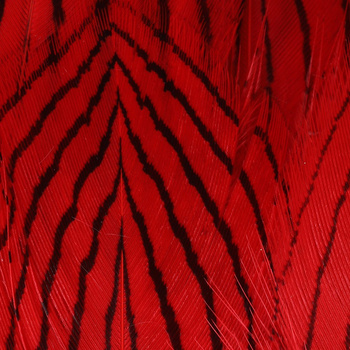 Hareline plumas del cuerpo de faisán plateado