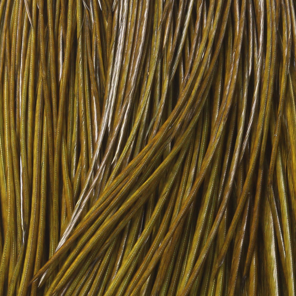 Capa de plumas del cuello de gallo Whiting Bronze