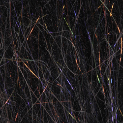 H2O Fibra Brush N Wing